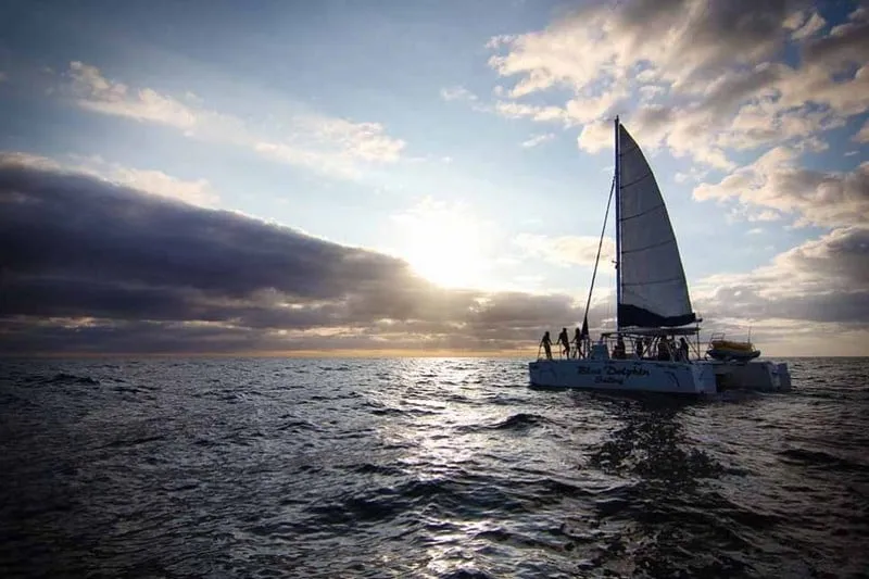 Blue Dolphin Catamaran Tamarindo