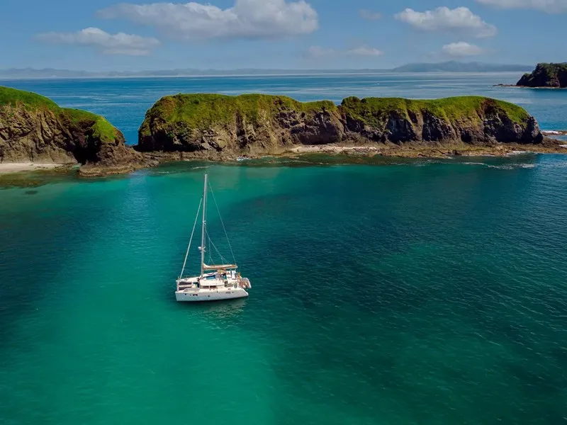 Pacific Soul Catamaran Flamingo