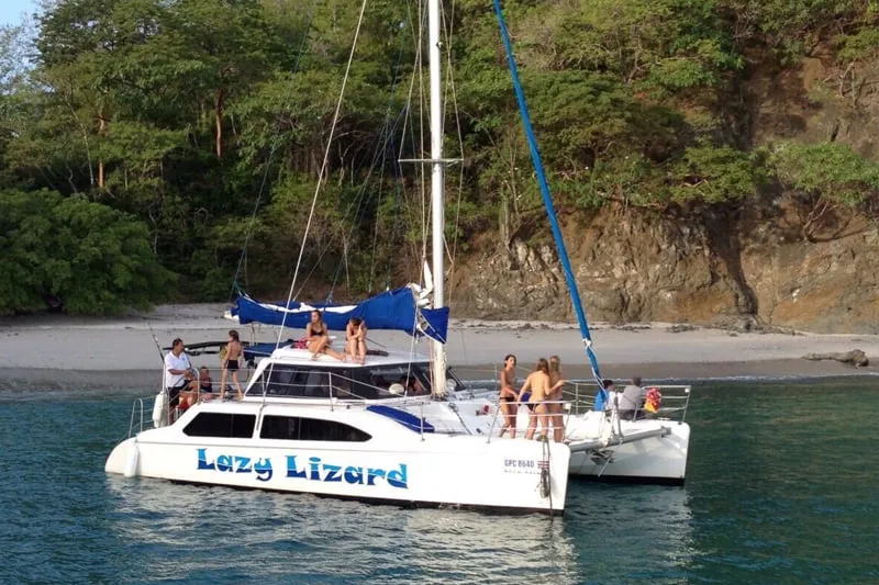 Lazy Lizard Catamaran Flamingo