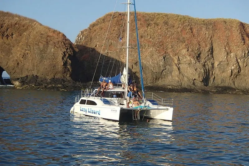 Lazy Lizard Catamaran Flamingo