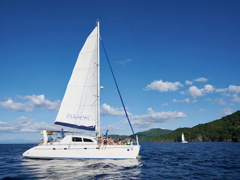 Panache Catamaran Flamingo