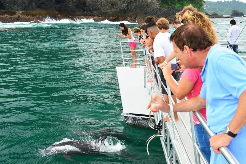 Ocean King Catamaran Manuel Antonio