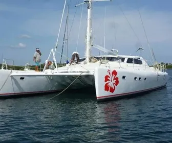 Hibiscus Catamaran Tamarindo