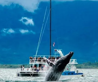 Tom Cat Catamaran Manuel Antonio